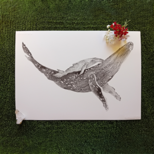 Original drawing, whale art.