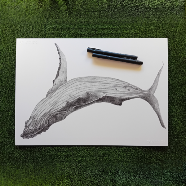 Original drawing, whale art. - Image 2