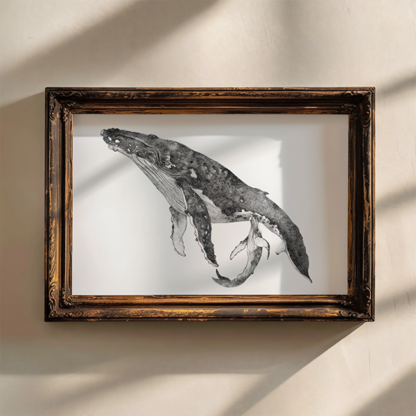 Unique wall art, whale drawing realistic. - Image 4